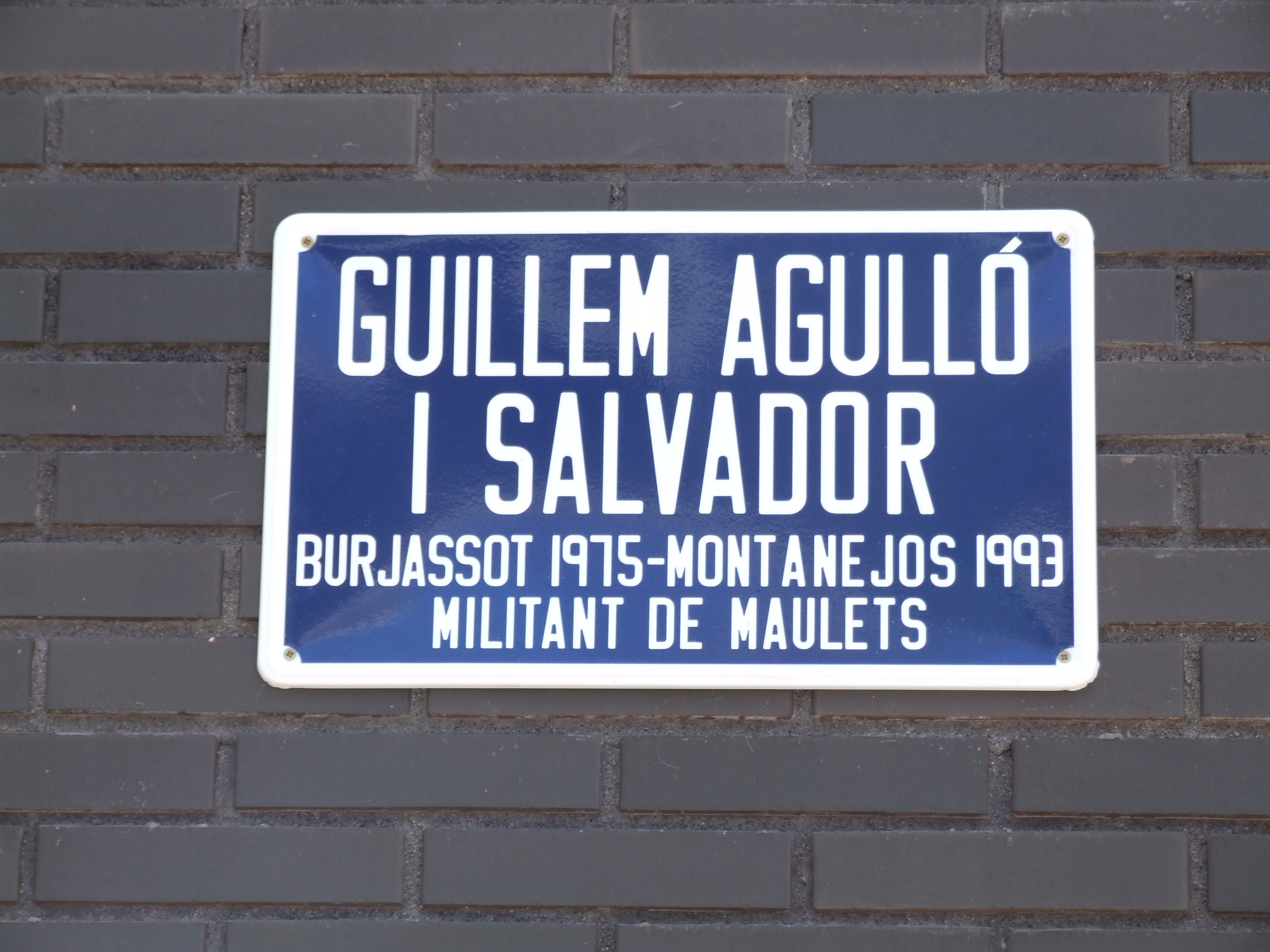 Sallent dedica un carrer a Guillem Agulló