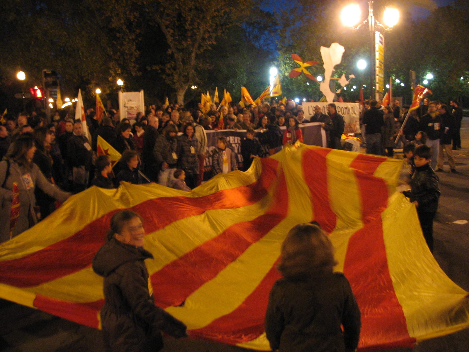 Milers de persones es manifesten per la llengua en la commemoració de les normes de Castelló