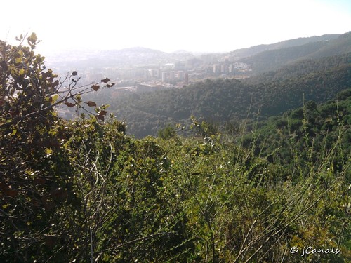 collserola