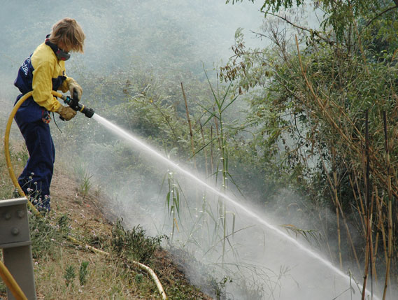 “Les retallades i la manca d'inversió pública han augmentat els problemes per controlar incendis com el de Cortes i Andilla”