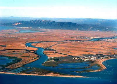 El Partit Popular vol recuperar l'antic PHN