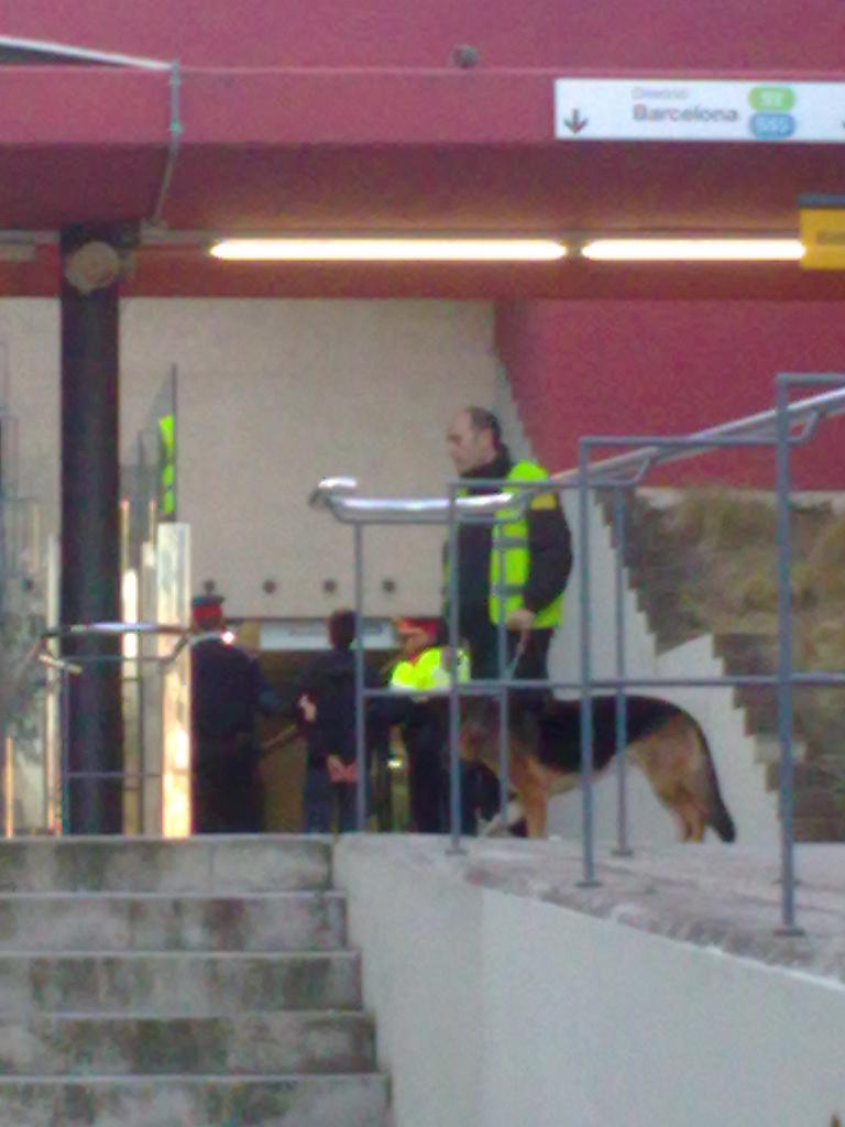 Detenció de l'estudiant a la UAB dilluns 1 de febrer. FOTO: L'ACCENT