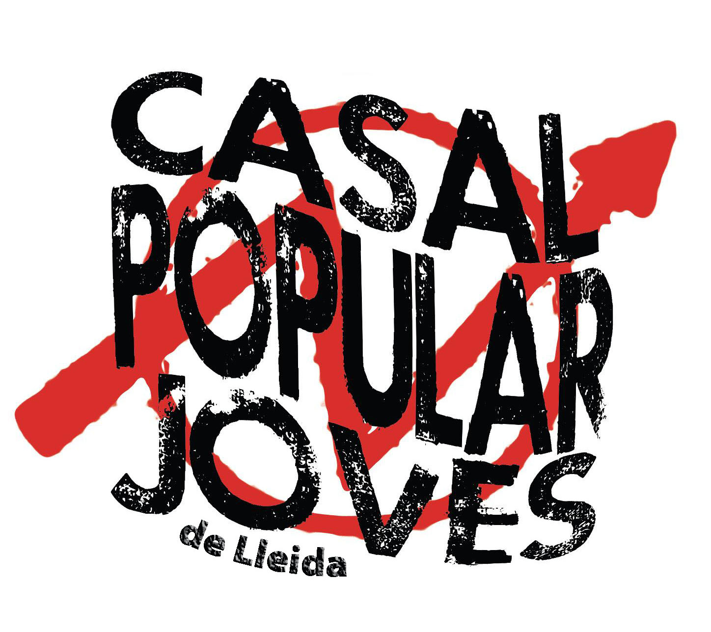 “El jovent necessita espais de joves i per a joves que donin resposta a la manca d'espais lliures on poder construir alternatives al sistema capitalista”