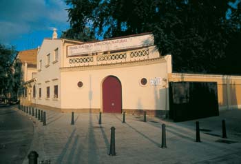 Els impagaments de les administracions fan tancar el Museu Valencià d'Història Natural