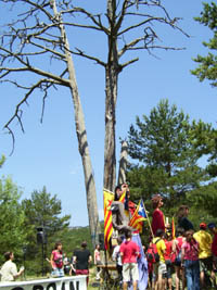 La diada patriòtica del Pi de les Tres Branques posa punt i final al Rebrot