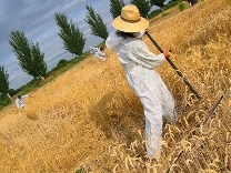 La calçotada agroecològica de Valls dóna el tret de sortida a les mobilitzacions contra els transgènics
