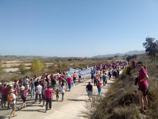 Prop d'un miler de persones a la marxa contra la planta de residus animals de la Vall d'Albaida