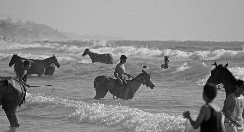 La bellesa quotidiana de la Franja de Gaza