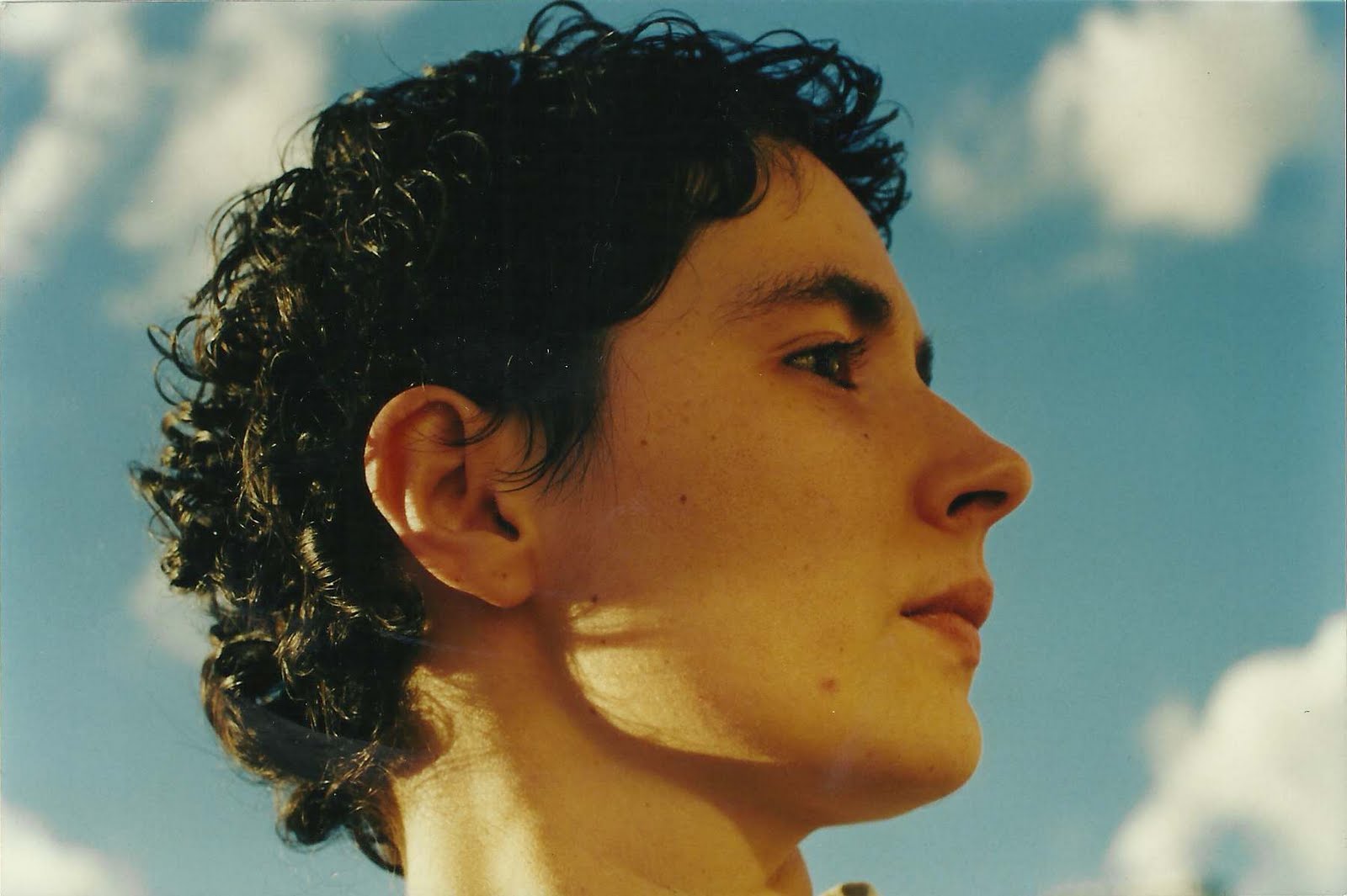 4F: d'un procés kafkià a la tragèdia (L'ACCENT 201. Maig de 2011)