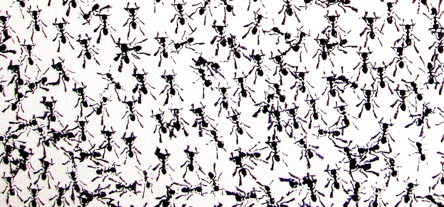 De centralitats i eixos de lluita política