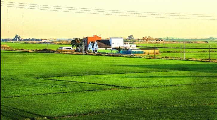 Elaboren un mapa interactiu amb les afectacions del PGOU de València sobre l'horta