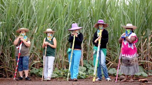 Revolució o decadència?