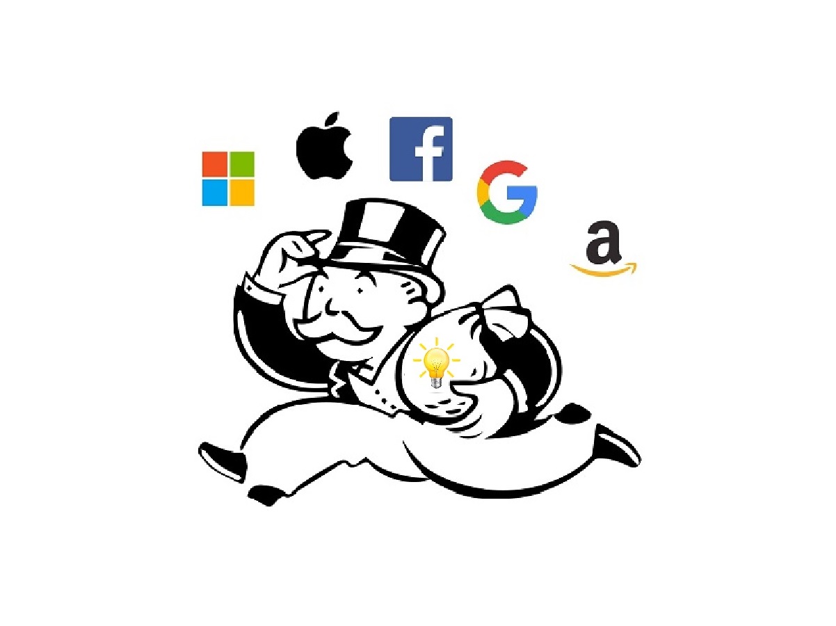 El capitalisme de monopolis intel·lectuals i els seus efectes sobre el desenvolupament