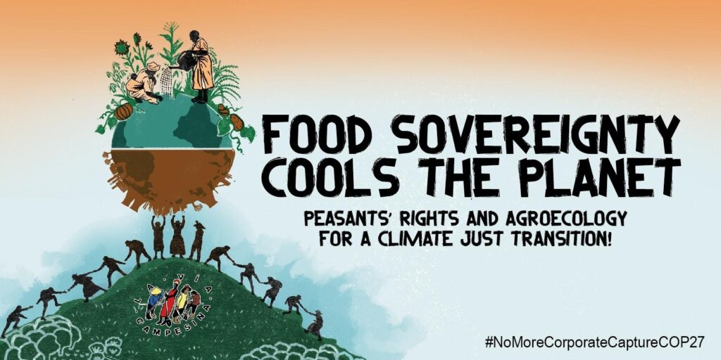 COP 27: Crida a l'Acció de la Via Camperola per a la 27a cimera climàtica de l'ONU