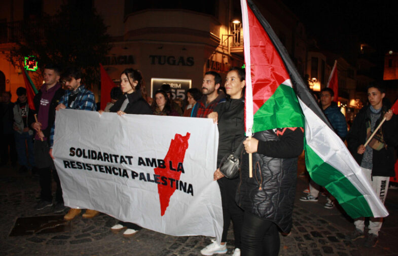 Quatre punts sobre la solidaritat a partir del genocidi de Gaza